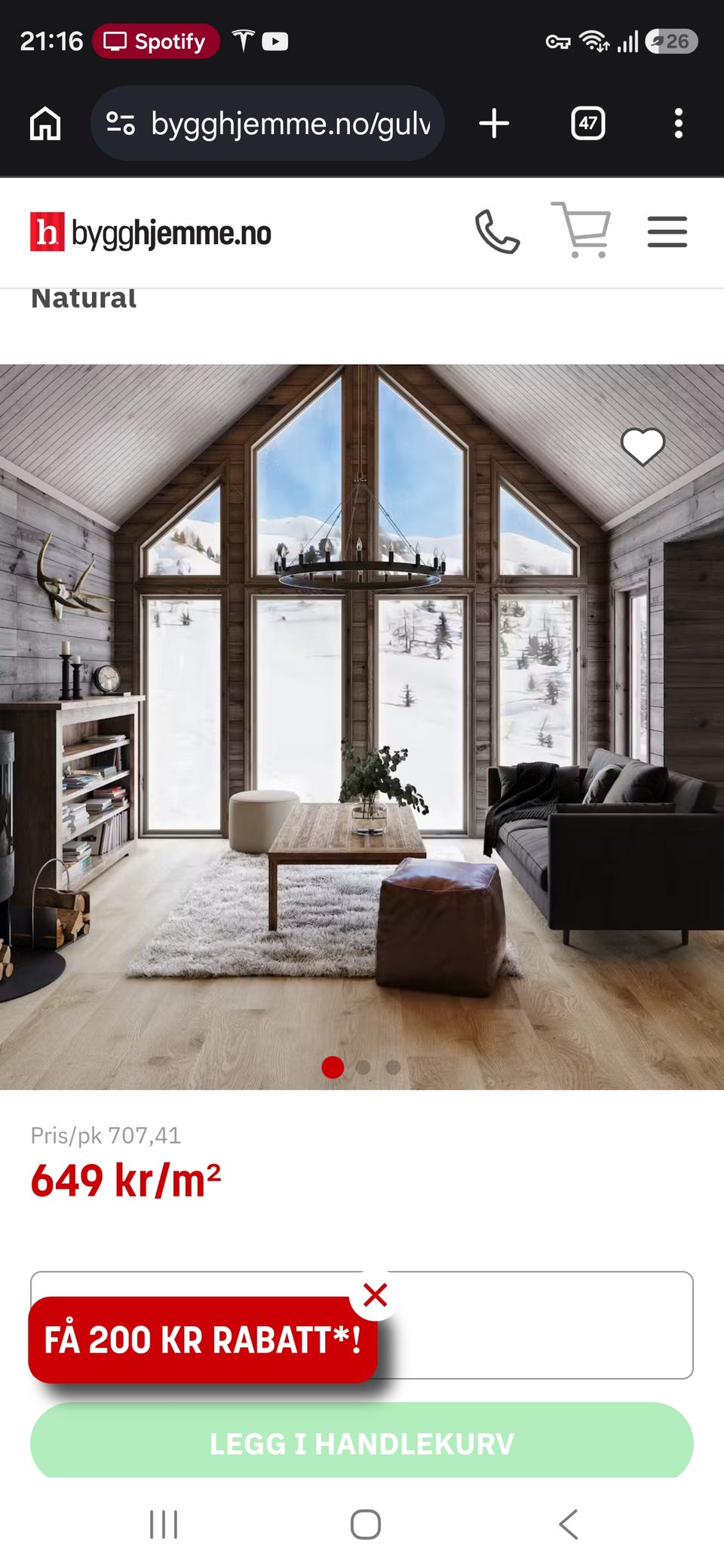 Galleribilde