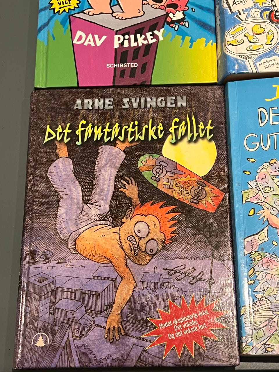 Galleribilde