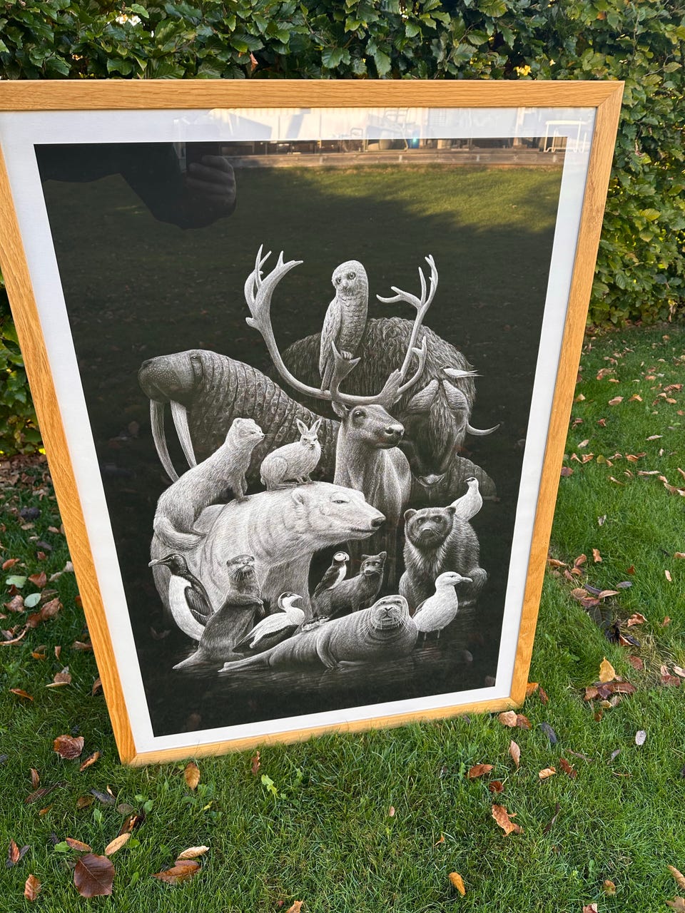 Galleribilde