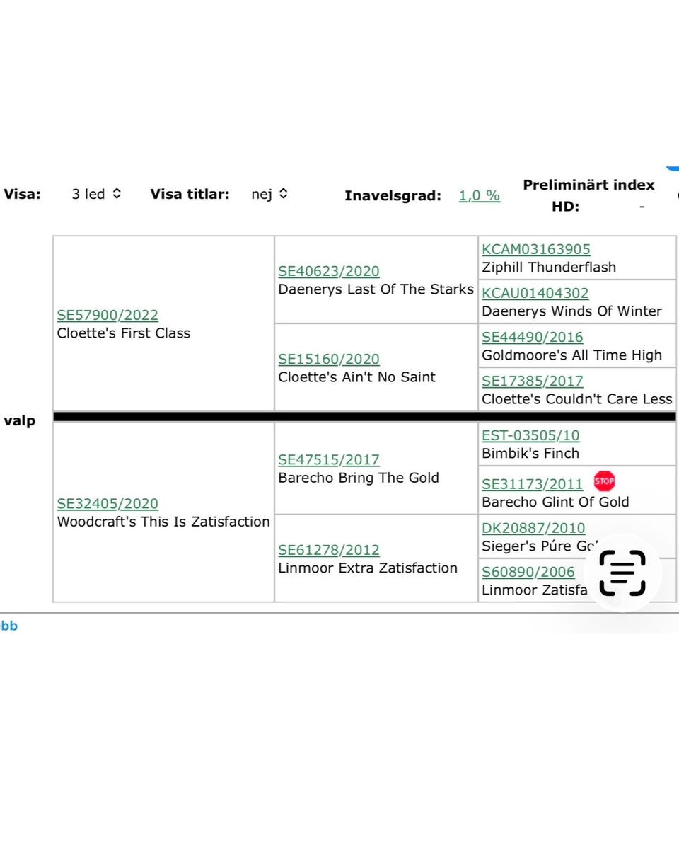 Galleribilde
