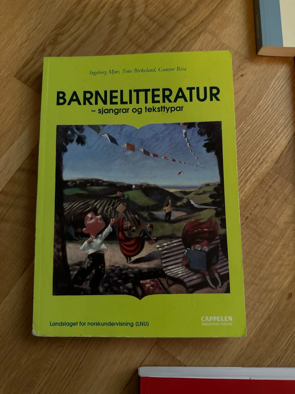 Galleribilde