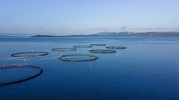 Bilde 6 av 9 i jobbannonse-galleriet