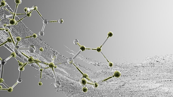 Bilde 2 av 6 i jobbannonse-galleriet