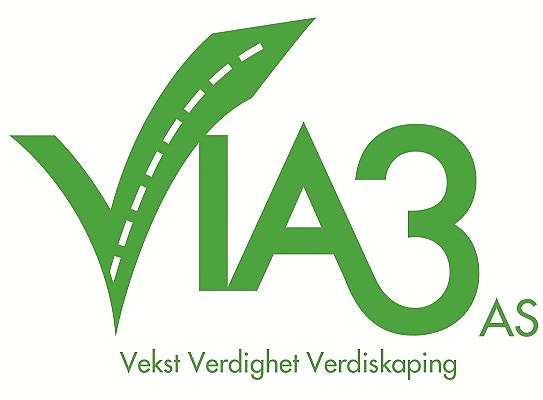 VIA3 AS logo