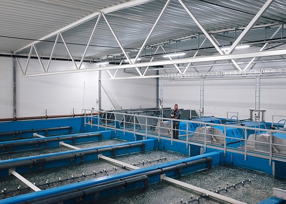 Bilde 1 av 4 i jobbannonse-galleriet