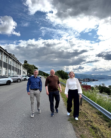 Bilde 2 av 2 i jobbannonse-galleriet