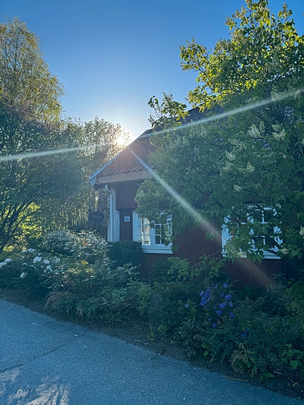 Bygningene ligger i en oase av grønne planter og vekster