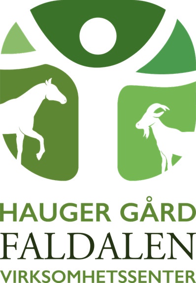 Faldalen virksomhetssenter AS logo