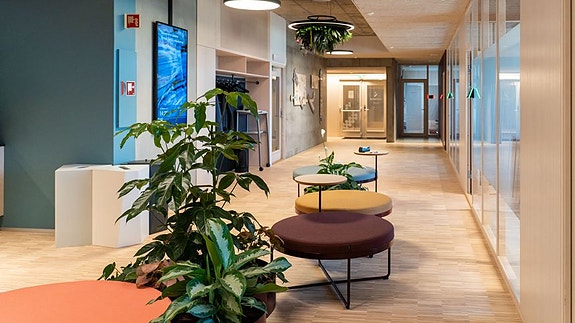 Bilde 3 av 5 i jobbannonse-galleriet