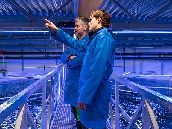 Bilde 1 av 5 i jobbannonse-galleriet