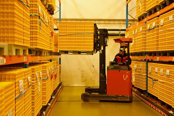 Bilde 2 av 3 i jobbannonse-galleriet