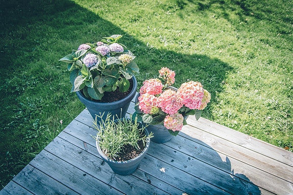 Bilde 1 av 2 i jobbannonse-galleriet