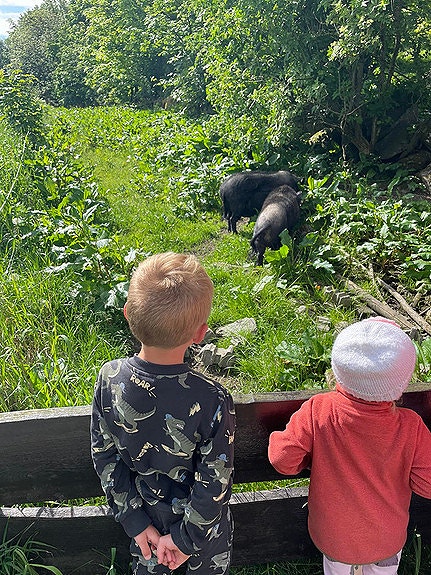 Bilde 8 av 10 i jobbannonse-galleriet