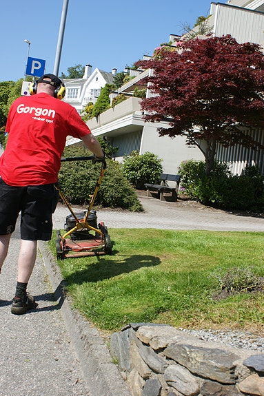 Bilde 2 av 6 i jobbannonse-galleriet