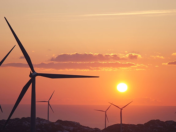 Bilde 2 av 2 i jobbannonse-galleriet