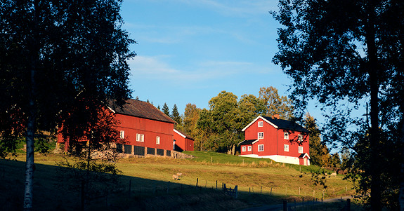 Bilde 4 av 4 i jobbannonse-galleriet