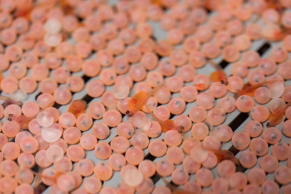 Bilde 3 av 3 i jobbannonse-galleriet