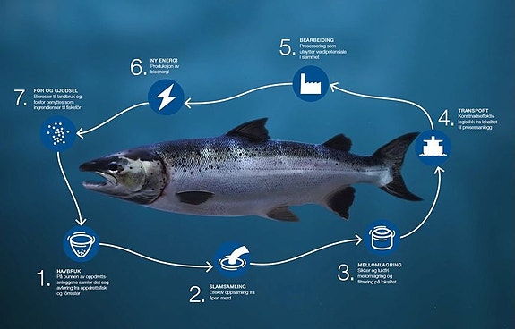 Bilde 3 av 4 i jobbannonse-galleriet