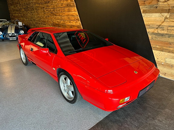Lotus Andre 4 of 5