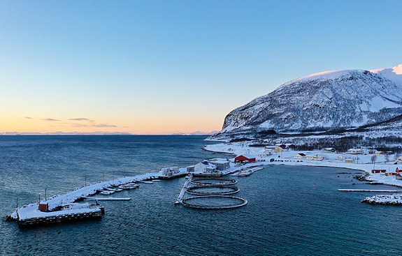 Bilde 2 av 2 i jobbannonse-galleriet