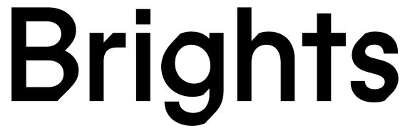 Brights Learning Norge logo