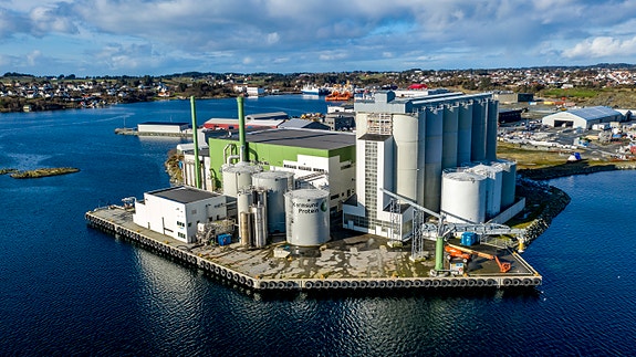 Bilde 2 av 4 i jobbannonse-galleriet