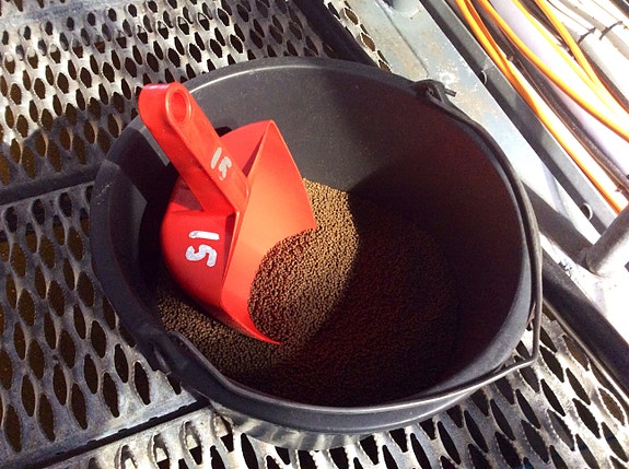 Bilde 4 av 5 i jobbannonse-galleriet