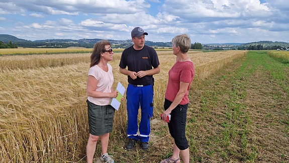 Forsøksfelt der vi dyrker bygg til malt - som skal bli til øl. Turi-Britt og Erik fra Norges Vel snakker med Kjersti fra Malteriet.