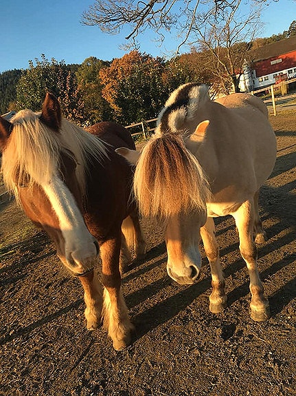 Bilde 7 av 10 i jobbannonse-galleriet