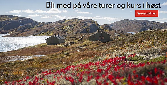 Mange flotte organiserte turer