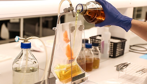 Bilde 2 av 8 i jobbannonse-galleriet