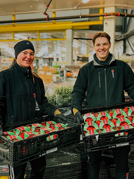 Bilde 1 av 6 i jobbannonse-galleriet