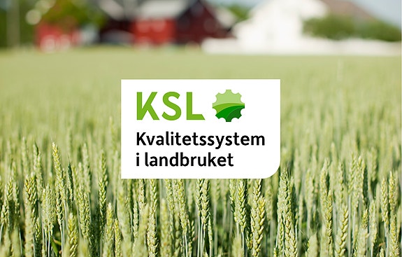 Bøndenes kvalitetssystem utvikles av Netpower