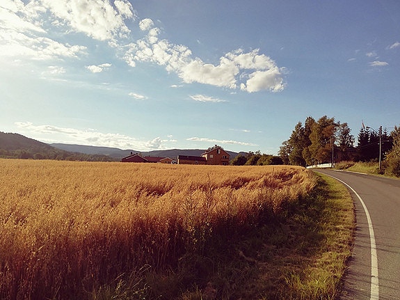 Bilde 5 av 8 i jobbannonse-galleriet