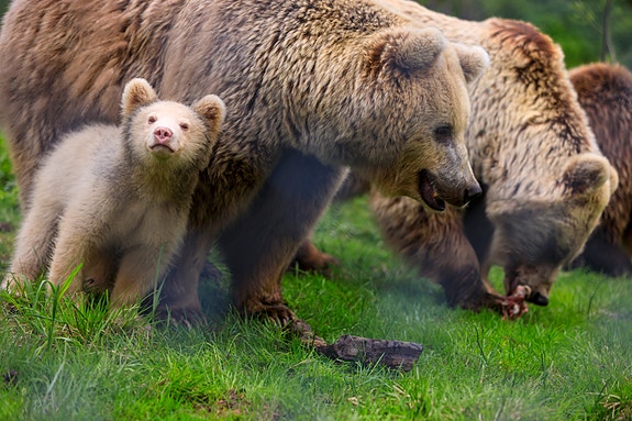 Bilde 3 av 4 i jobbannonse-galleriet