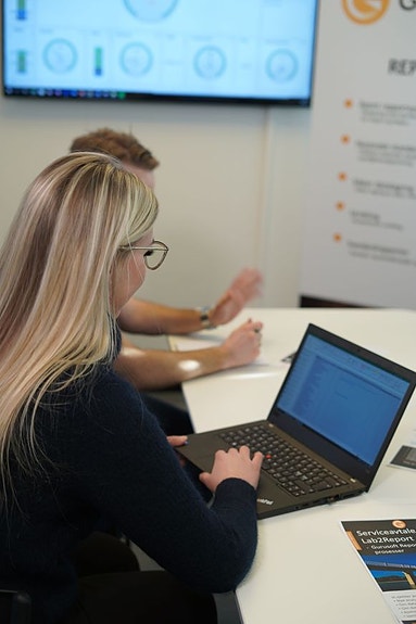 Bilde 3 av 6 i jobbannonse-galleriet