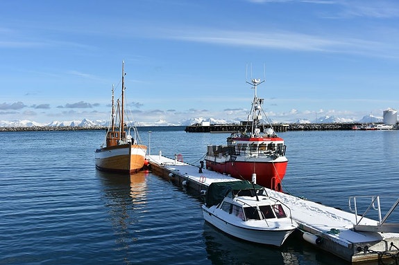 Bilde 1 av 4 i jobbannonse-galleriet
