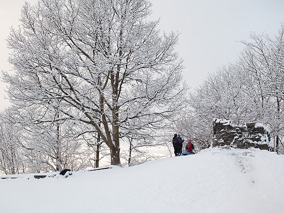 Bilde 6 av 7 i jobbannonse-galleriet