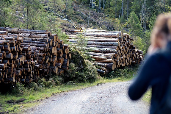 Tømmerlunne før henting