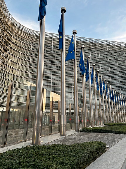 Bilde 7 av 7 i jobbannonse-galleriet