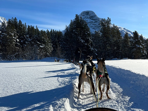 Bilde 4 av 10 i jobbannonse-galleriet