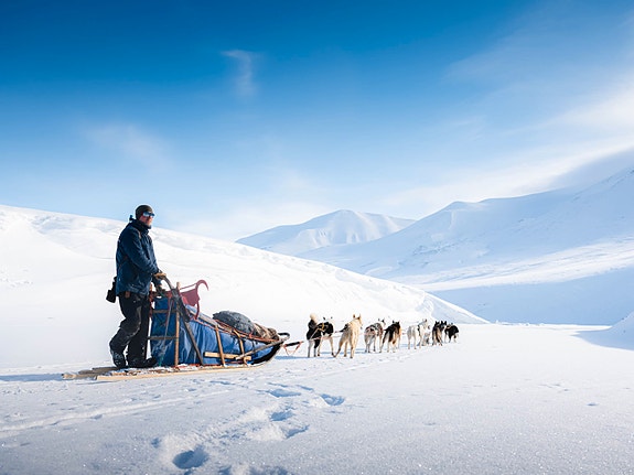 Bilde 2 av 8 i jobbannonse-galleriet