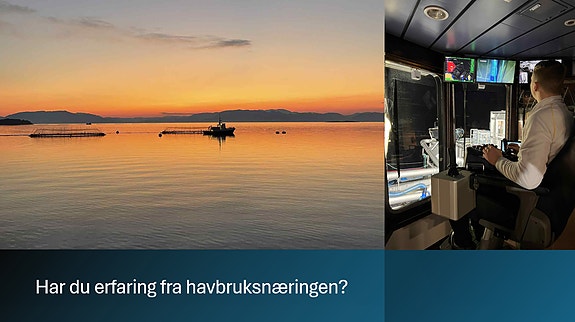 Bilde 1 av 1 i jobbannonse-galleriet