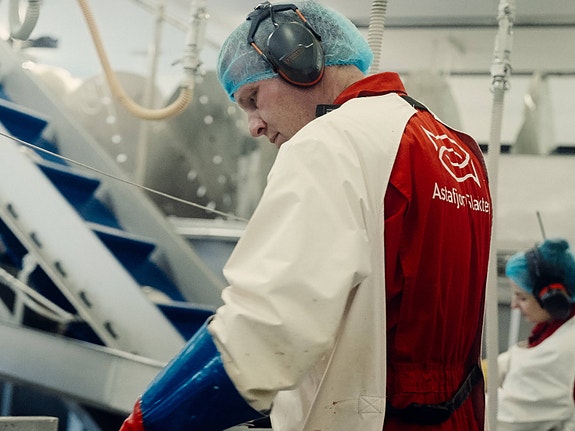 Bilde 1 av 2 i jobbannonse-galleriet