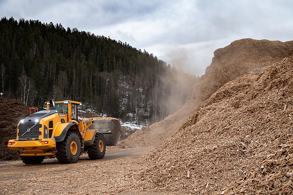 Bilde 2 av 5 i jobbannonse-galleriet