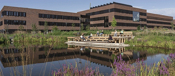 Bilde 2 av 5 i jobbannonse-galleriet