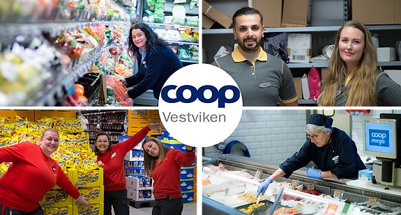 Bilde 1 av 1 i jobbannonse-galleriet