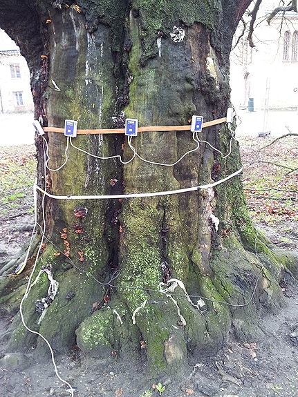 Undersøkelse med tomograf