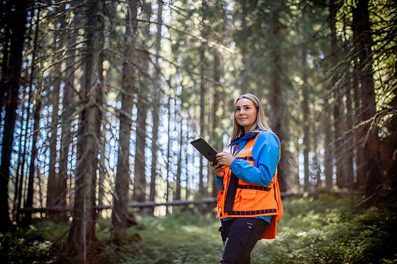 Bilde 2 av 5 i jobbannonse-galleriet