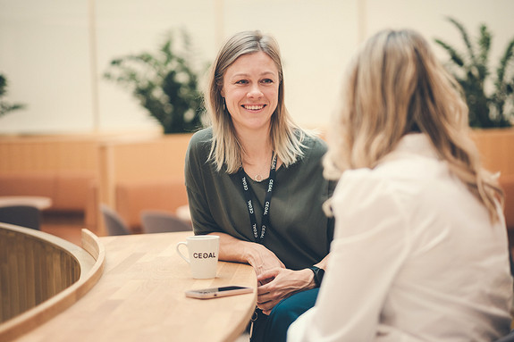 Bilde 2 av 4 i jobbannonse-galleriet
